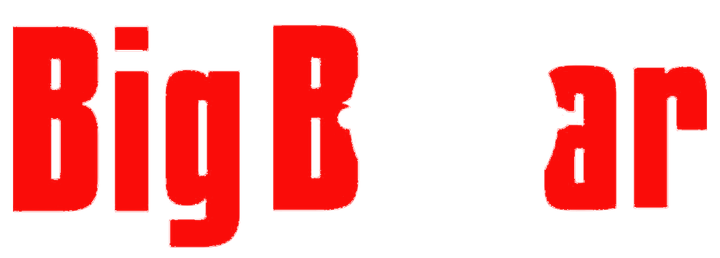 Logo Big Boar Tiro e Caca